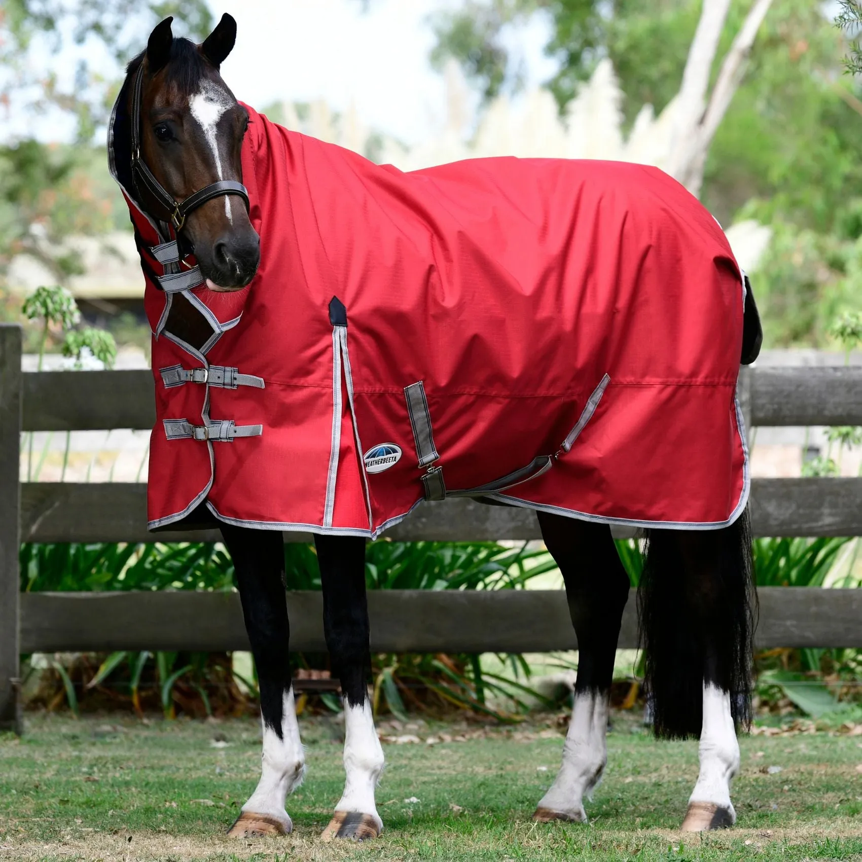 Weatherbeeta ComFiTec Classic Combo Lite Plus 50g Red/Silver/Navy