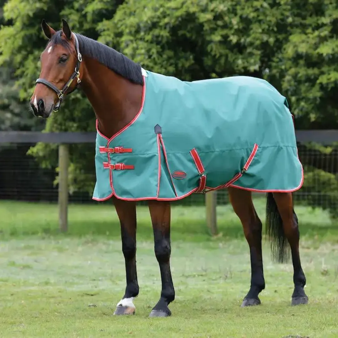 Weatherbeeta ComFiTec Prelim Standard Neck Medium