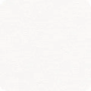 White from Trainers French Terry -- Robert Kaufman