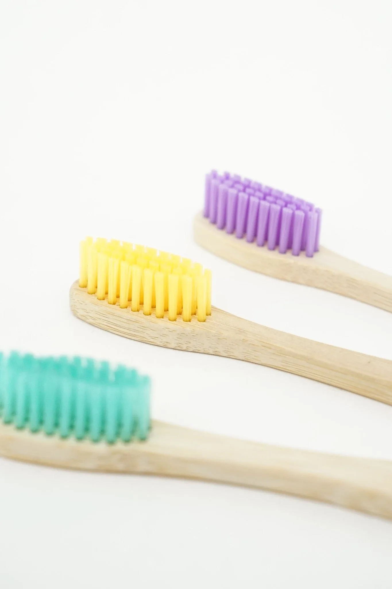 Wild Roots Bamboo Toothbrush Colour Set X3