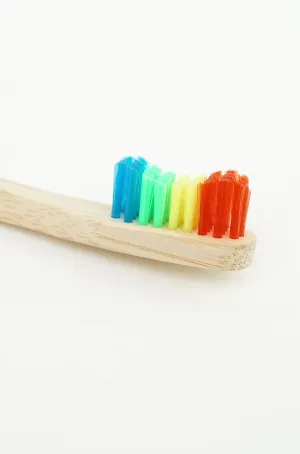Wild Roots Eco Friendly Natural Rainbow Bamboo Toothbrush